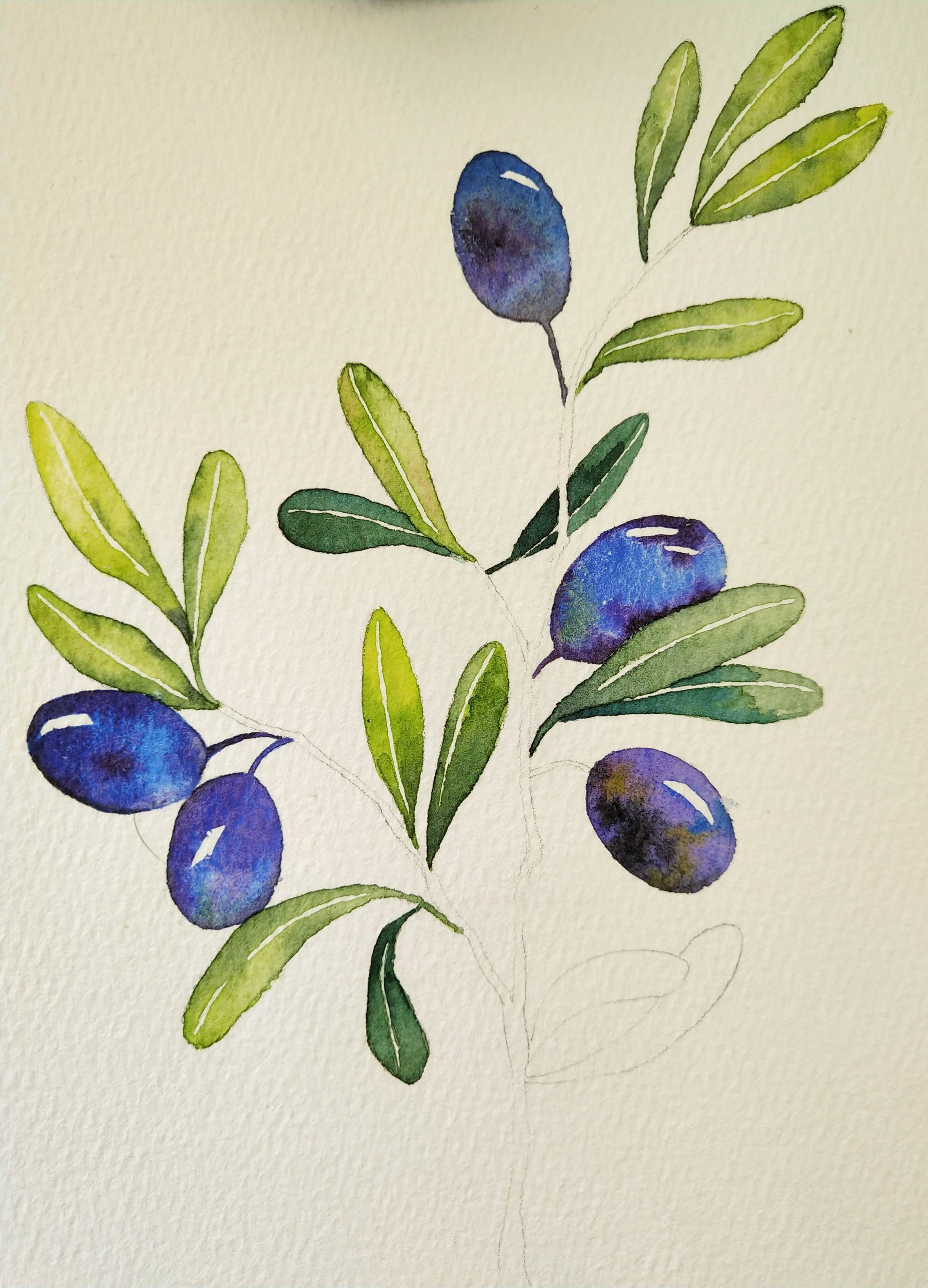 植物画