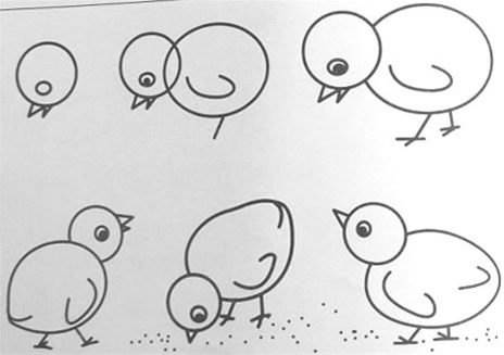 小鸡的简笔画