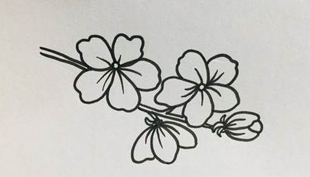 桃花简笔画图片带颜色