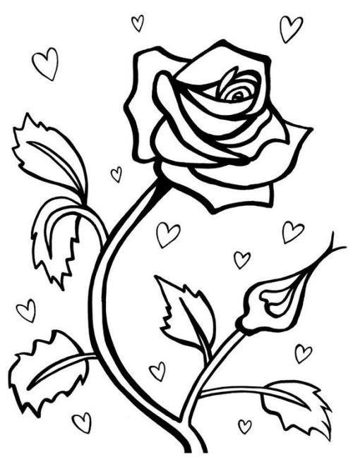 玫瑰花简笔画图片大全