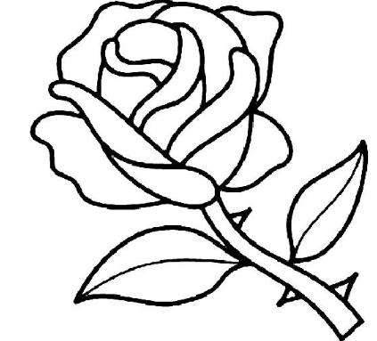 玫瑰花简笔画图片大全