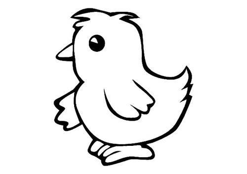小鸡的简笔画