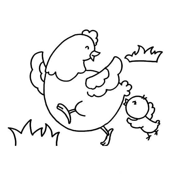 小鸡的简笔画