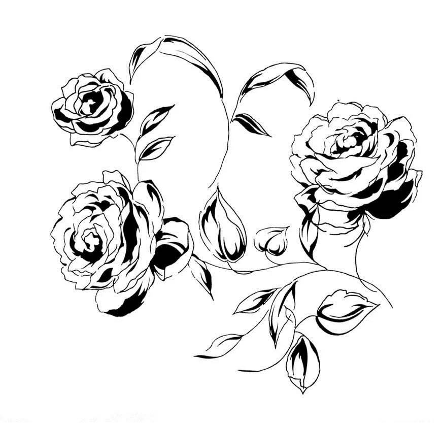 玫瑰花简笔画图片大全