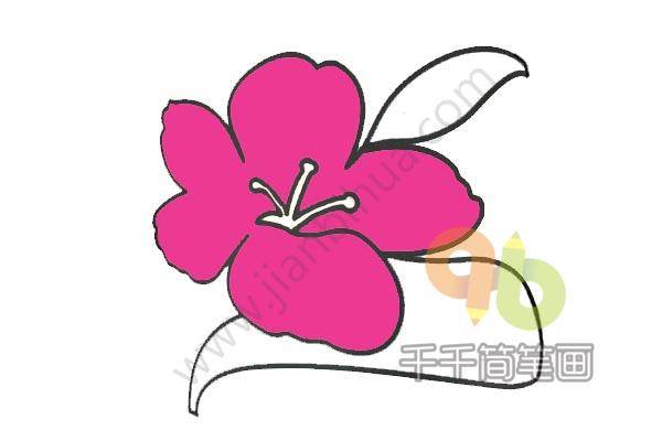 桃花简笔画图片带颜色