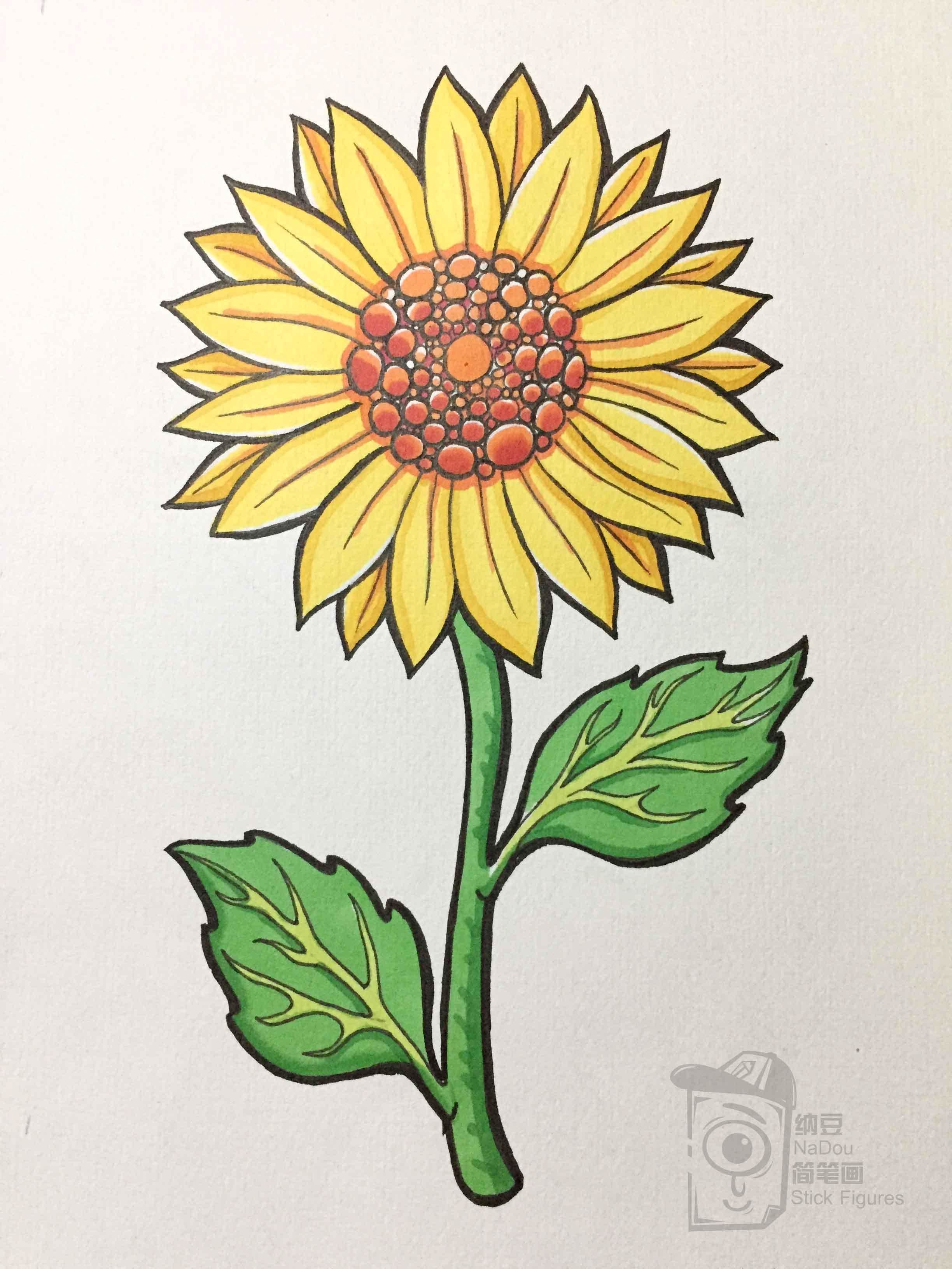向日葵图片简笔画