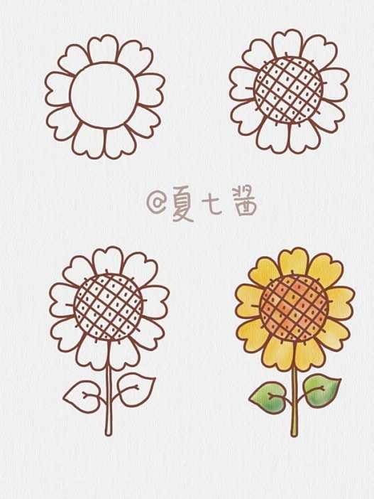 向日葵图片简笔画