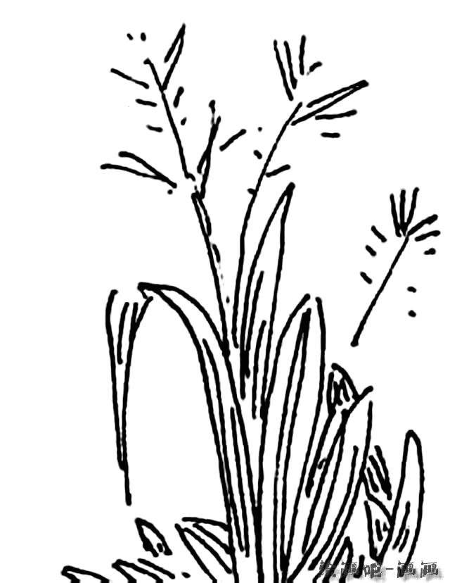 小草的简笔画