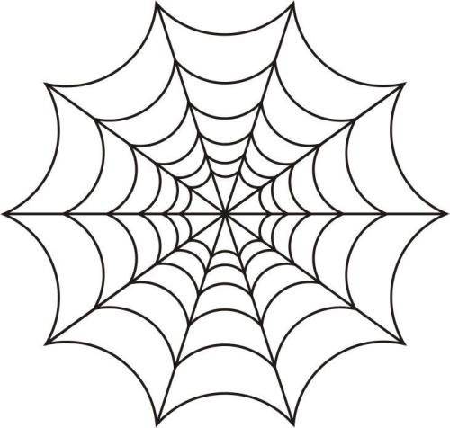 蜘蛛图片简笔画