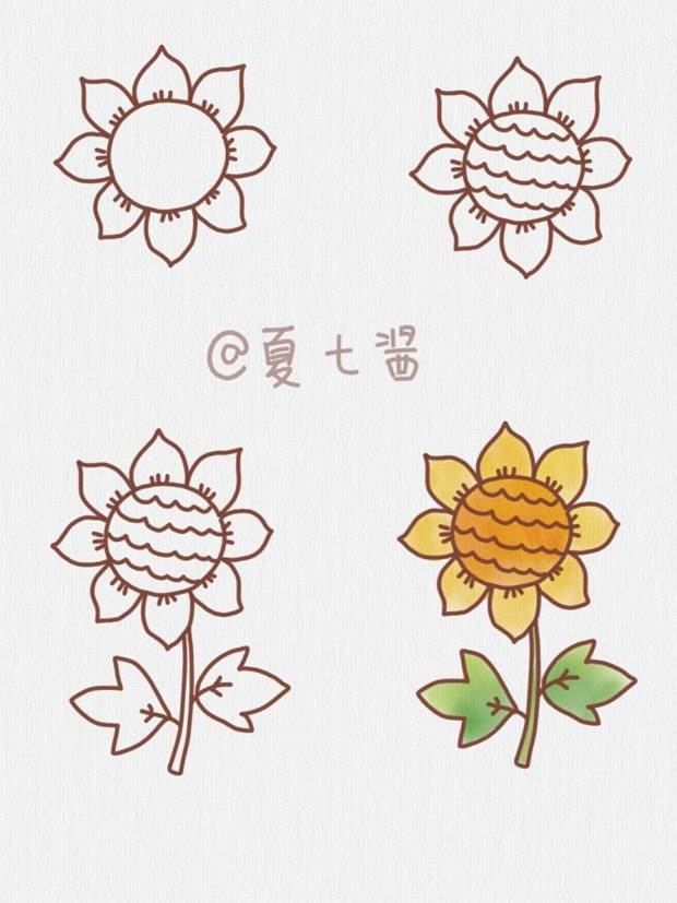 向日葵图片简笔画