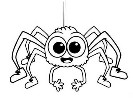 蜘蛛图片简笔画