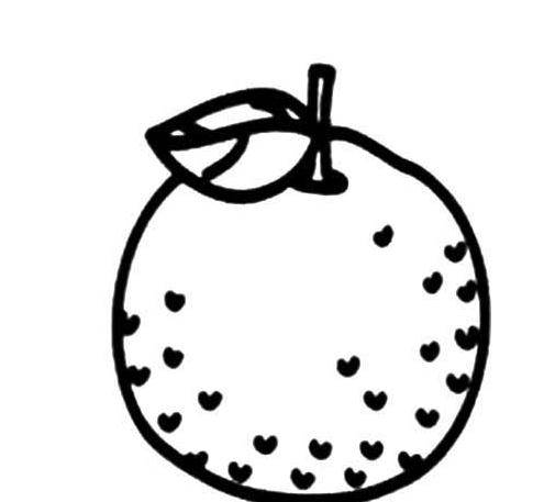 橘子简笔画