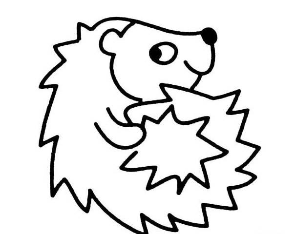 刺猬简笔画图片