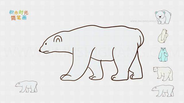 北极熊简笔画