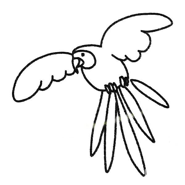 鹦鹉简笔画
