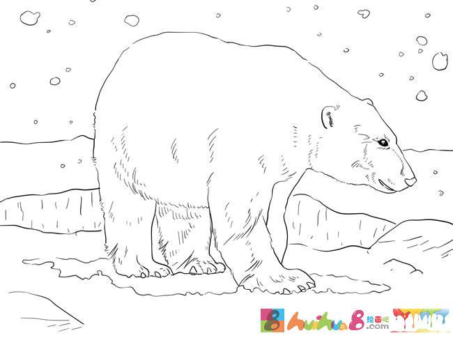 北极熊简笔画