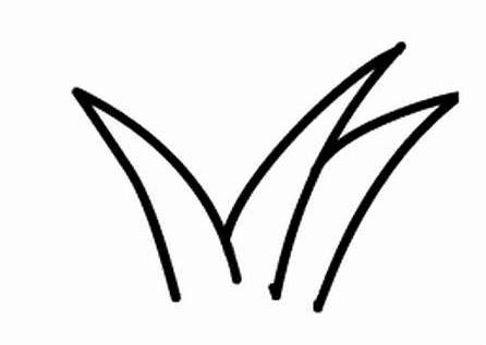 小草简笔画