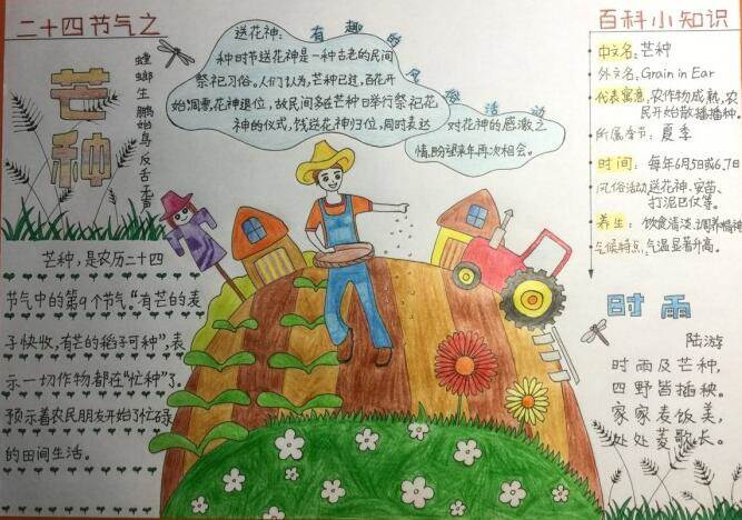 芒种的手抄报