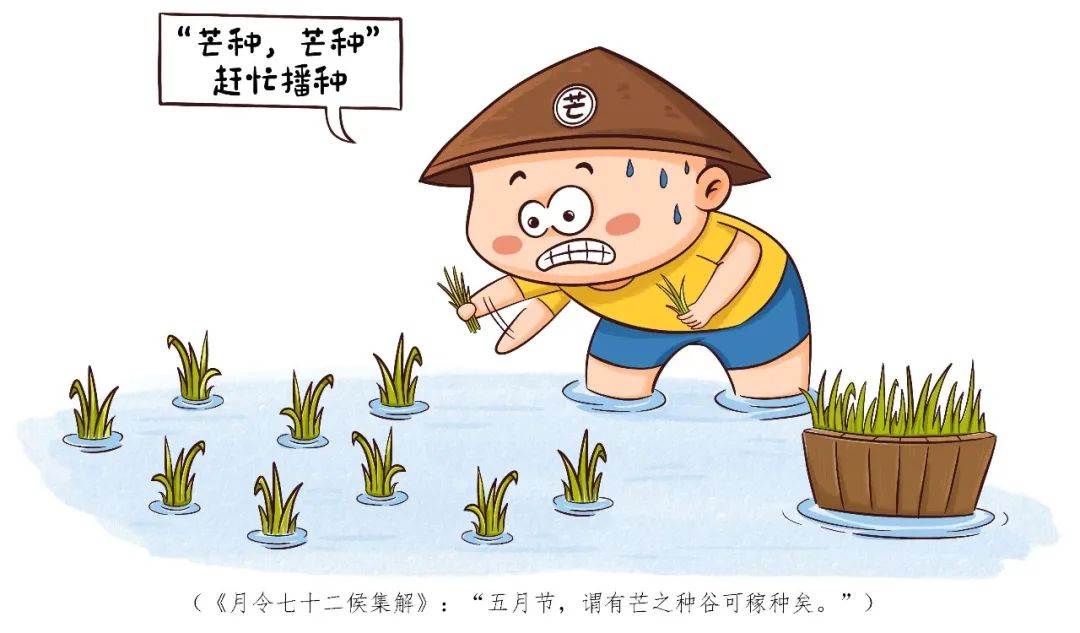 芒种的画