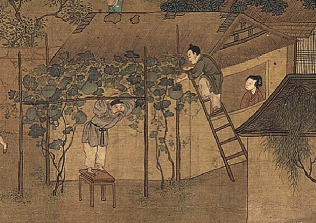芒种的画
