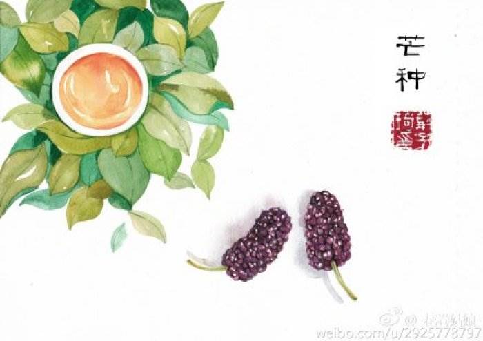 芒种的画