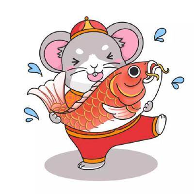 老鼠的图片