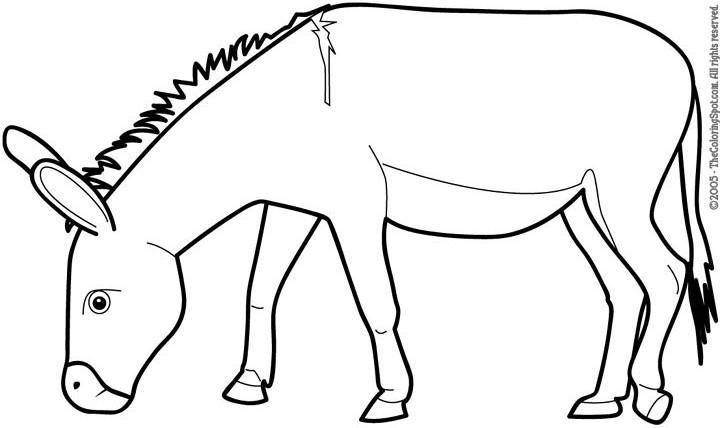 涂色画图片大全