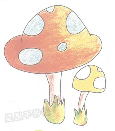 蘑菇简笔画带颜色
