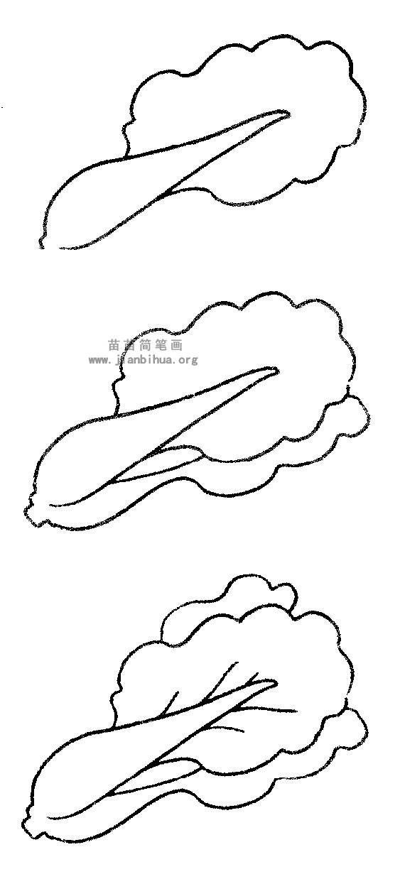 白菜简笔画图片