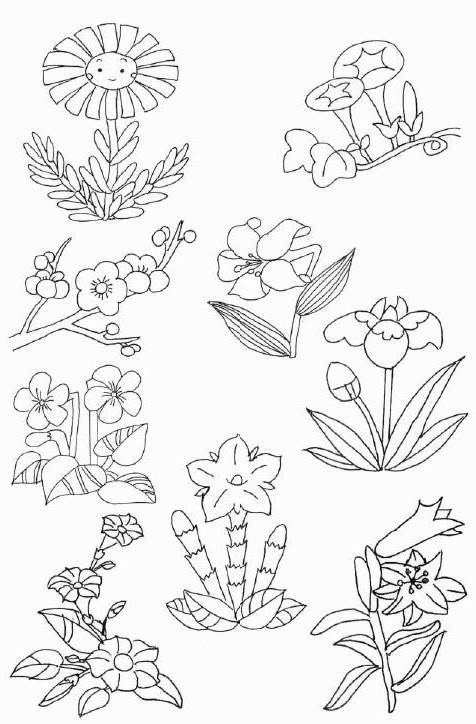 花简笔画图片