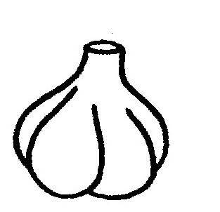 蔬菜的简笔画