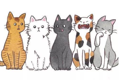 画画简笔画