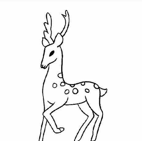 梅花鹿简笔画