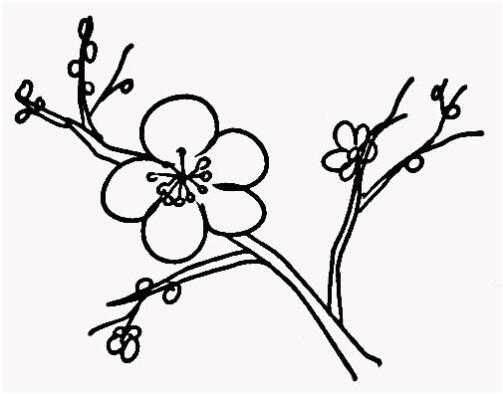 梅花简笔画图片大全