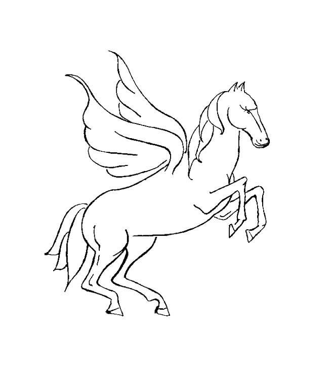 马简笔画图片大全