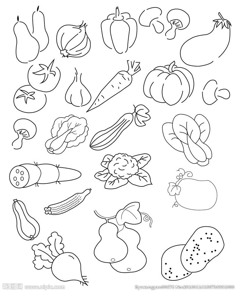 蔬菜的简笔画