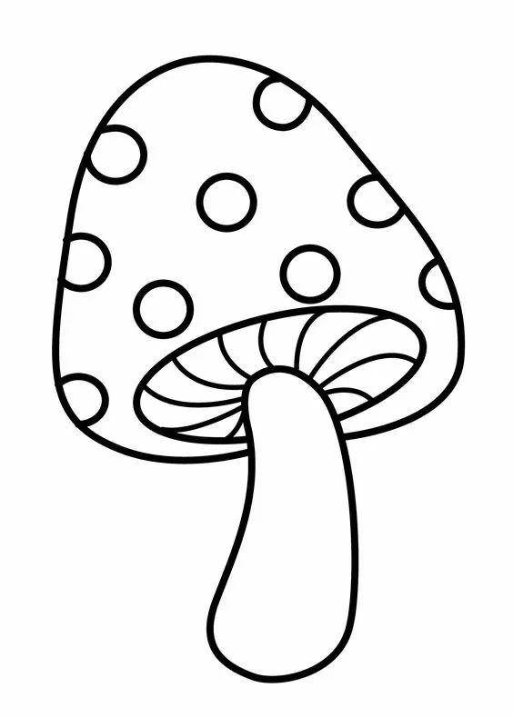 蔬菜的简笔画