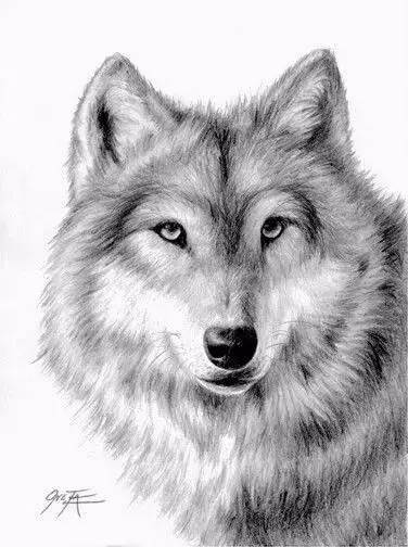 素描画图片