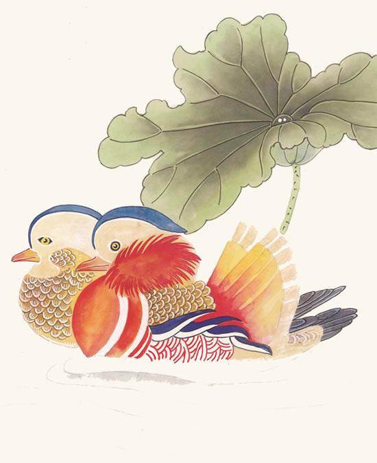 画鸳鸯