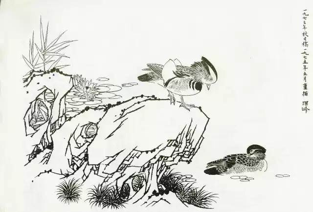 画鸳鸯