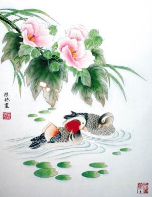 画鸳鸯