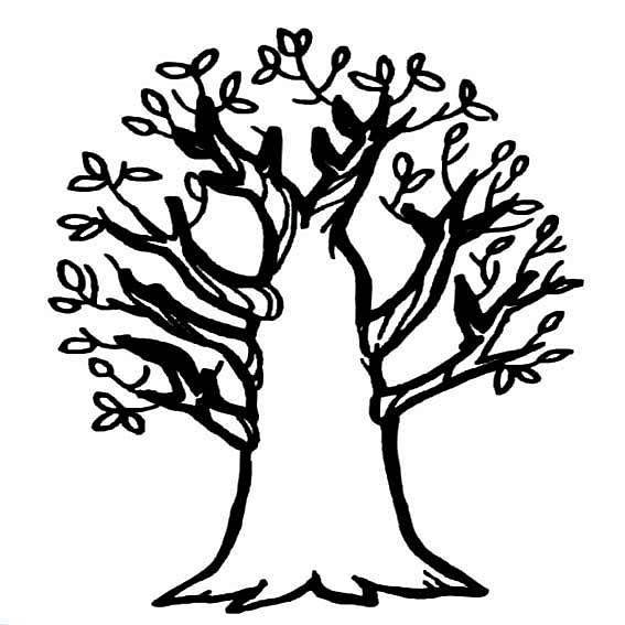 简笔画大树