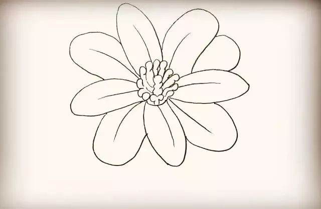 花朵简笔画简单又好看