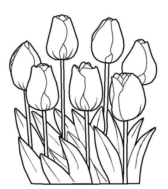 花朵简笔画简单又好看