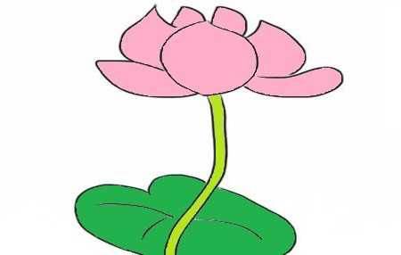荷花图片简笔画