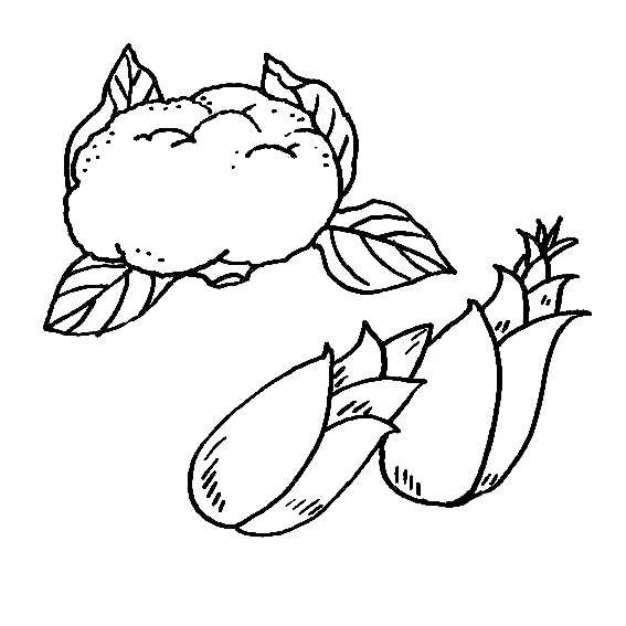 蔬菜水果简笔画