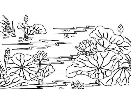 荷花图片简笔画