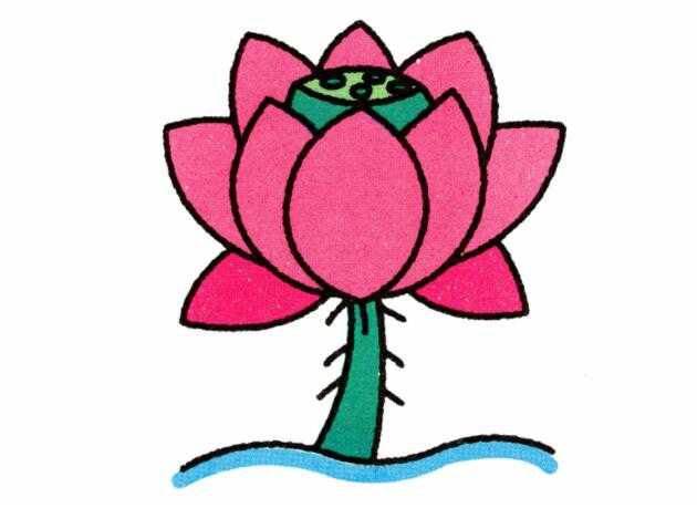 荷花图片简笔画