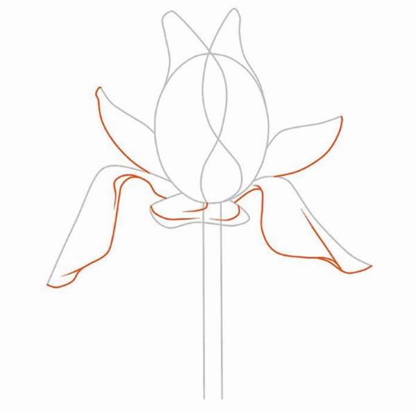 花朵简笔画简单又好看