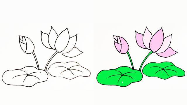 莲花简笔画